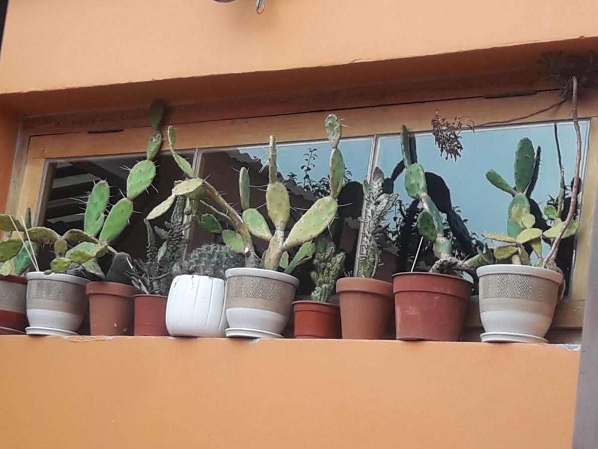 La Biblioteca Daire Olavarría Dış mekan fotoğraf